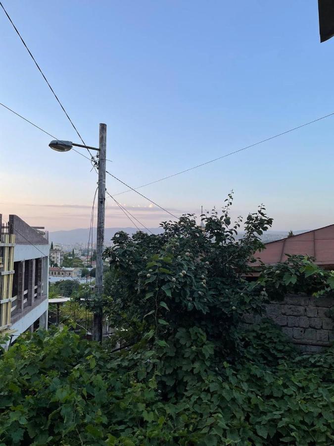 Guest House Zemeli Tbilisi Eksteriør billede